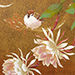 Kana Satake Gallery